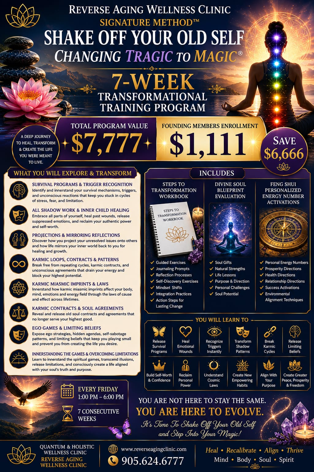 7-Week Transformational Journey poster